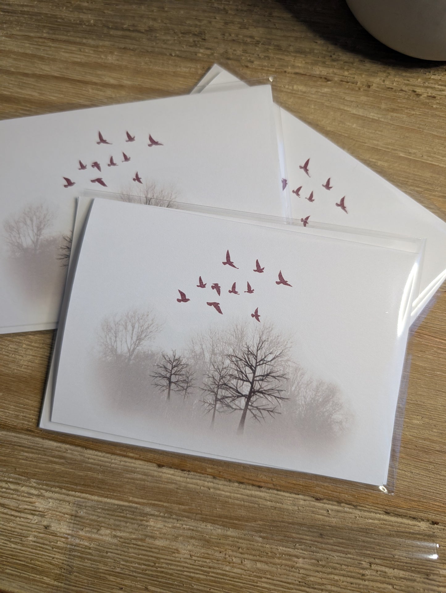 Clearance Collection | Discontinued