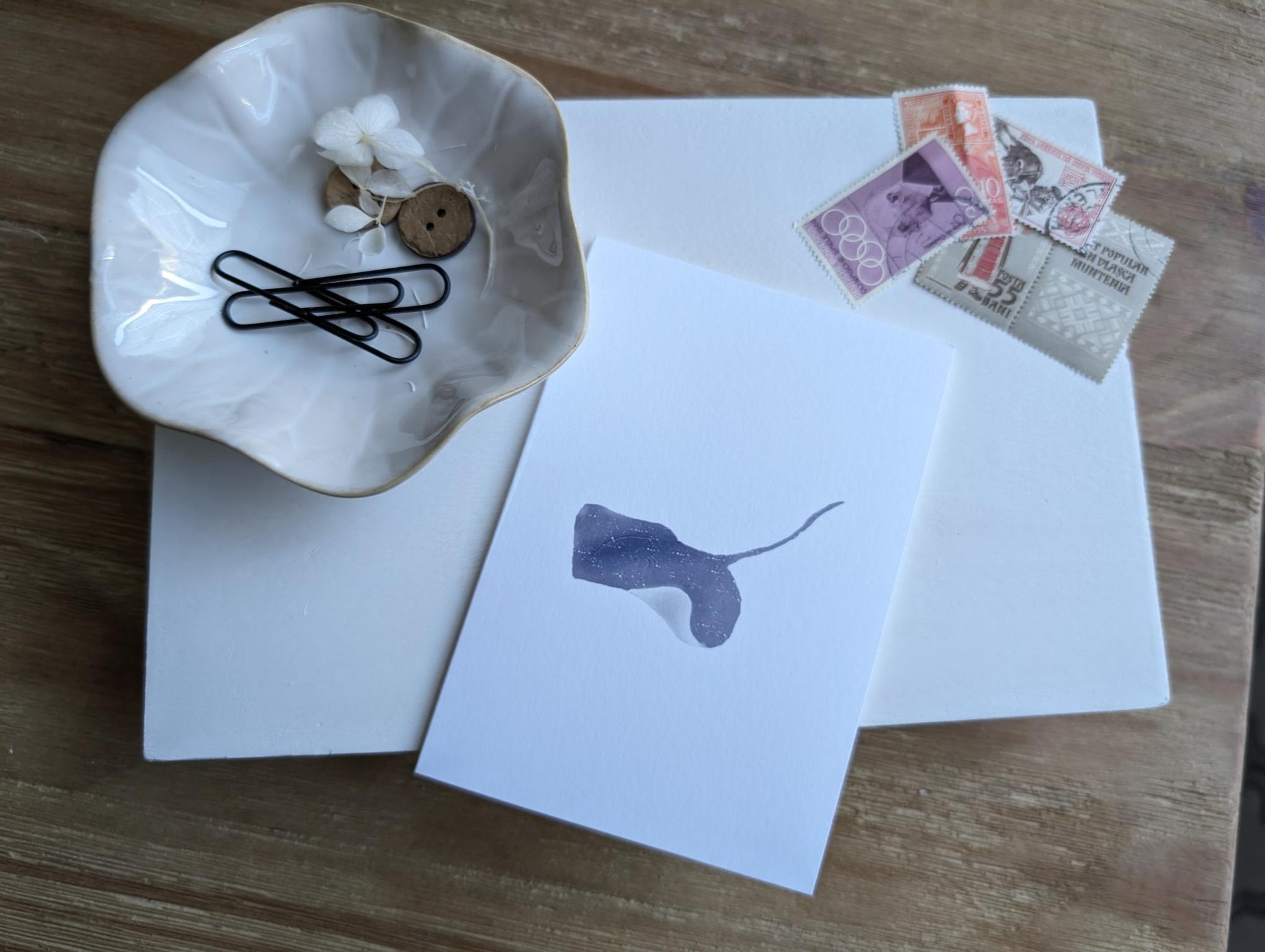 Notecard | Ocean Life Collection