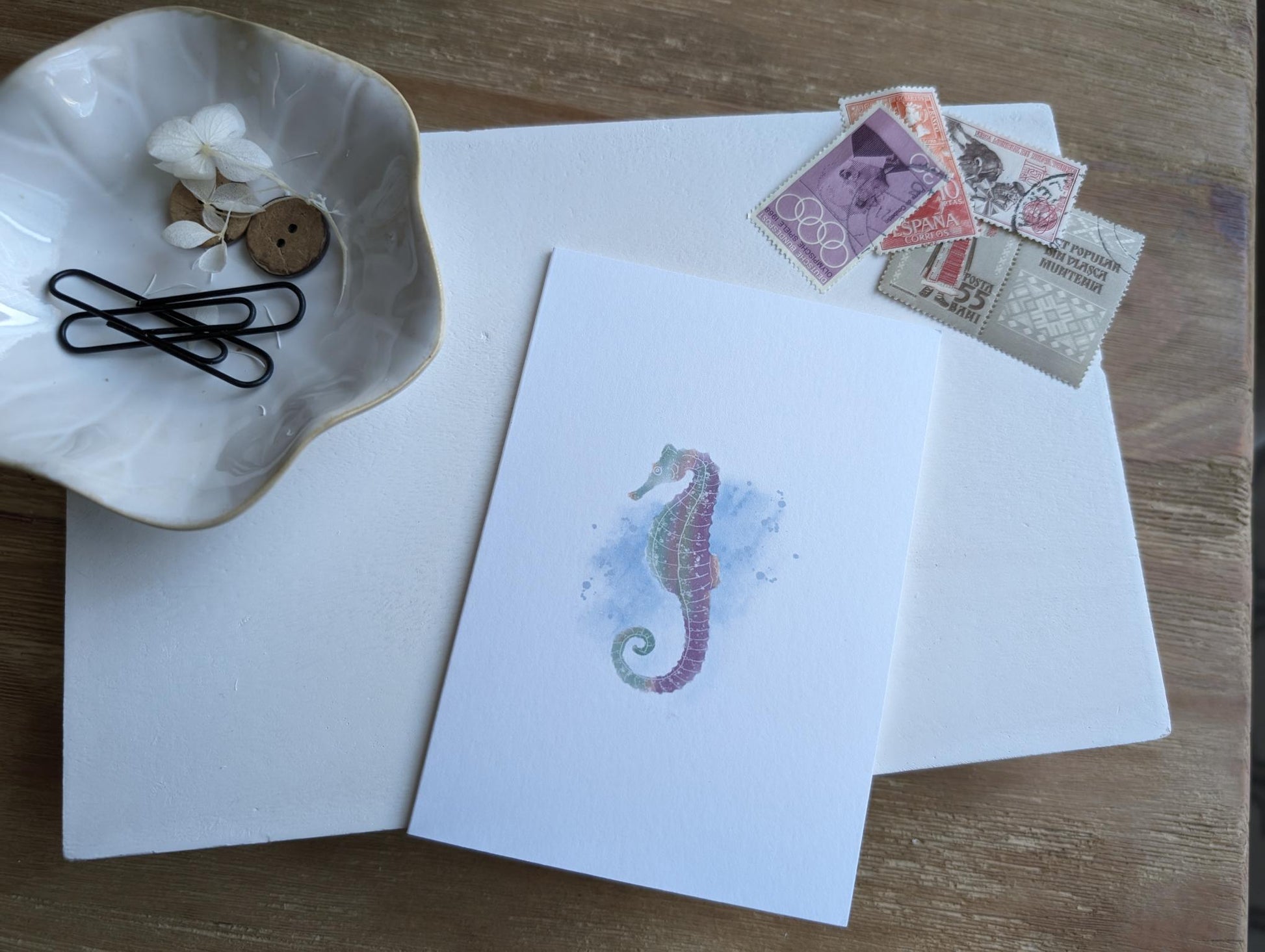 Notecard | Ocean Life Collection