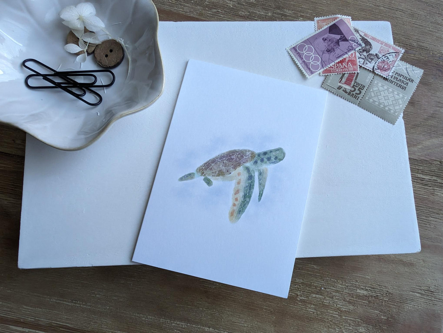 Notecard | Ocean Life Collection