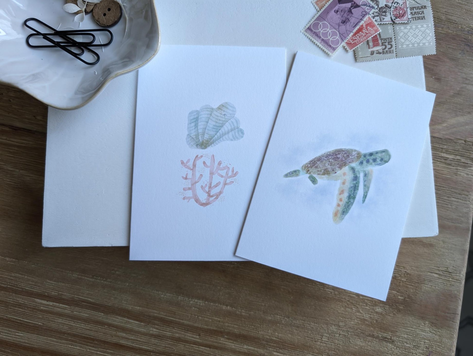 Notecard | Ocean Life Collection