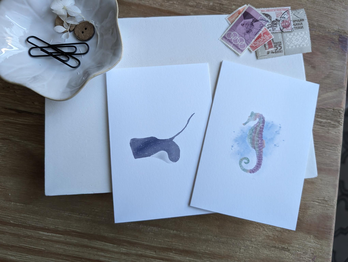 Notecard | Ocean Life Collection