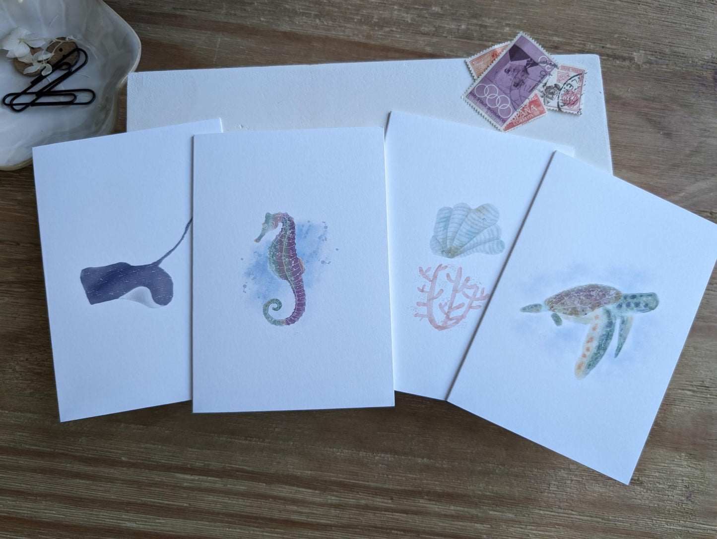 Notecard | Ocean Life Collection