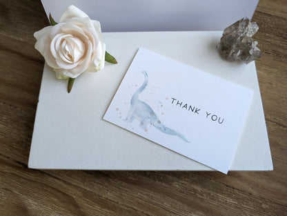 Clearance Collection | Discontinued