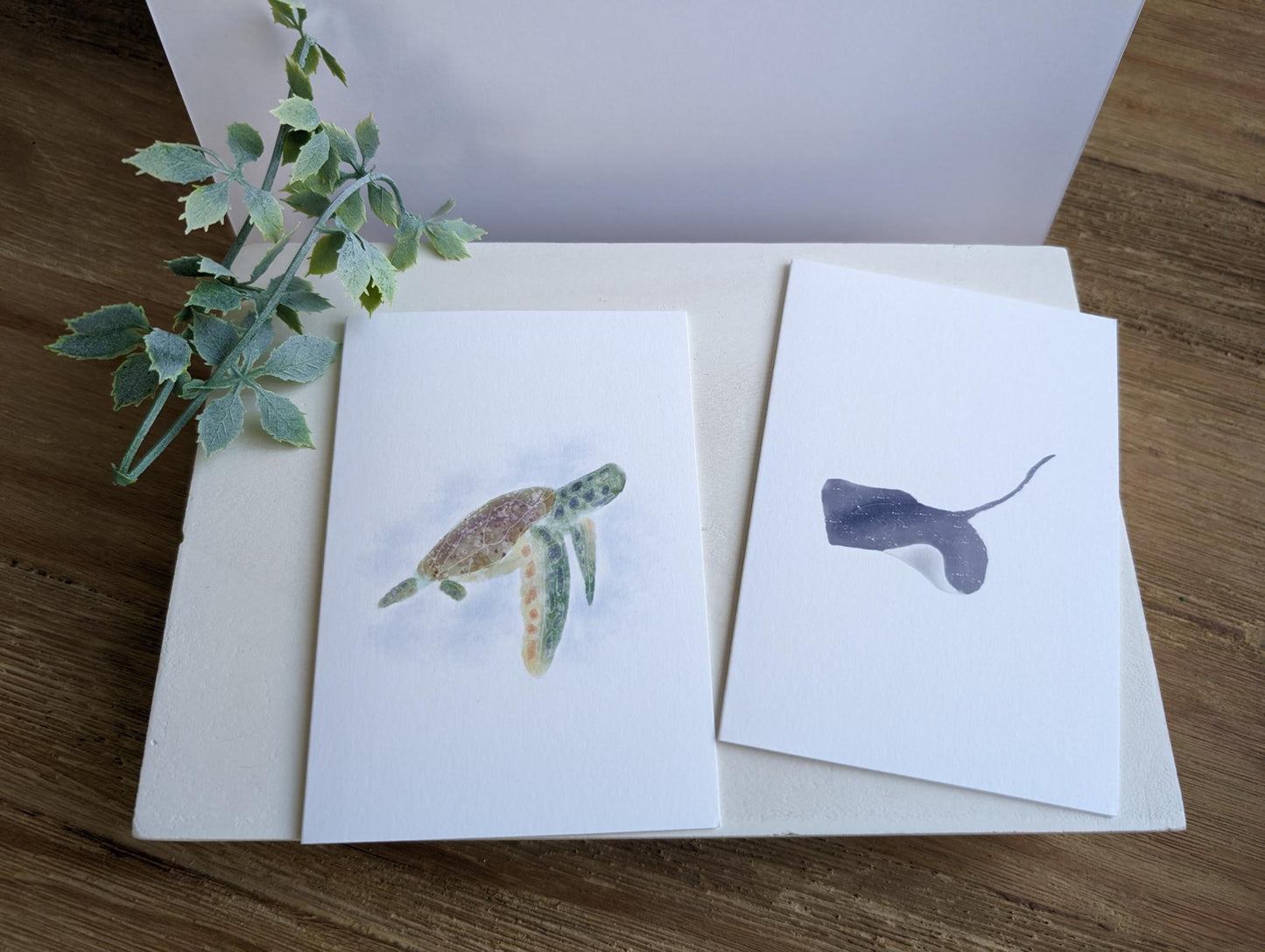 Notecard | Ocean Life Collection