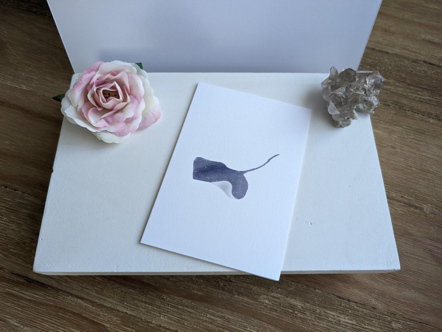 Notecard | Ocean Life Collection