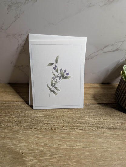 Clearance Collection | Discontinued