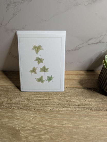 Clearance Collection | Discontinued