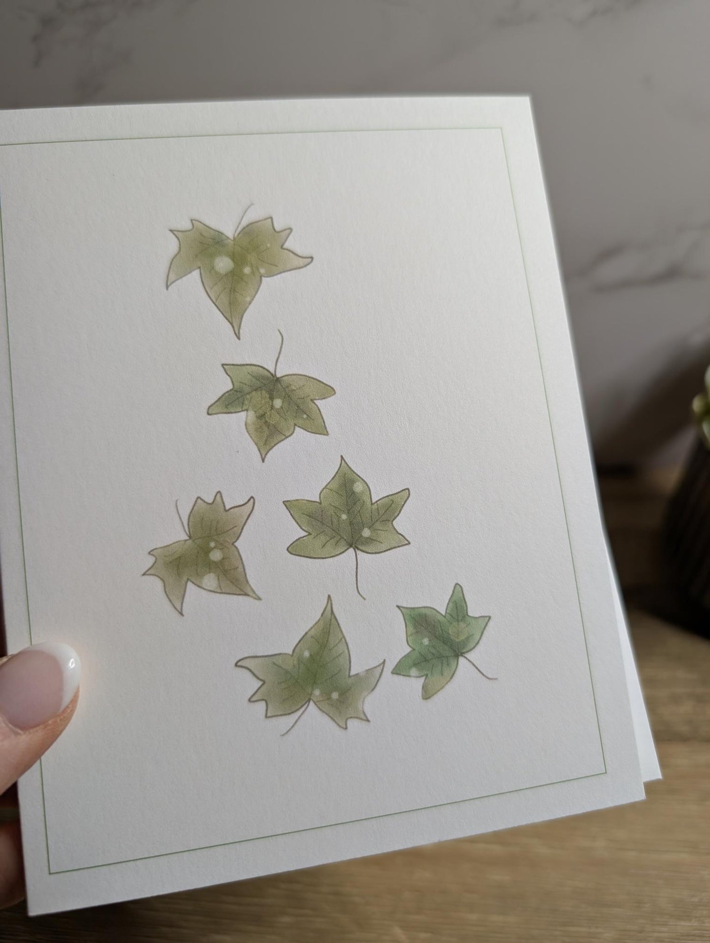 Clearance Collection | Discontinued