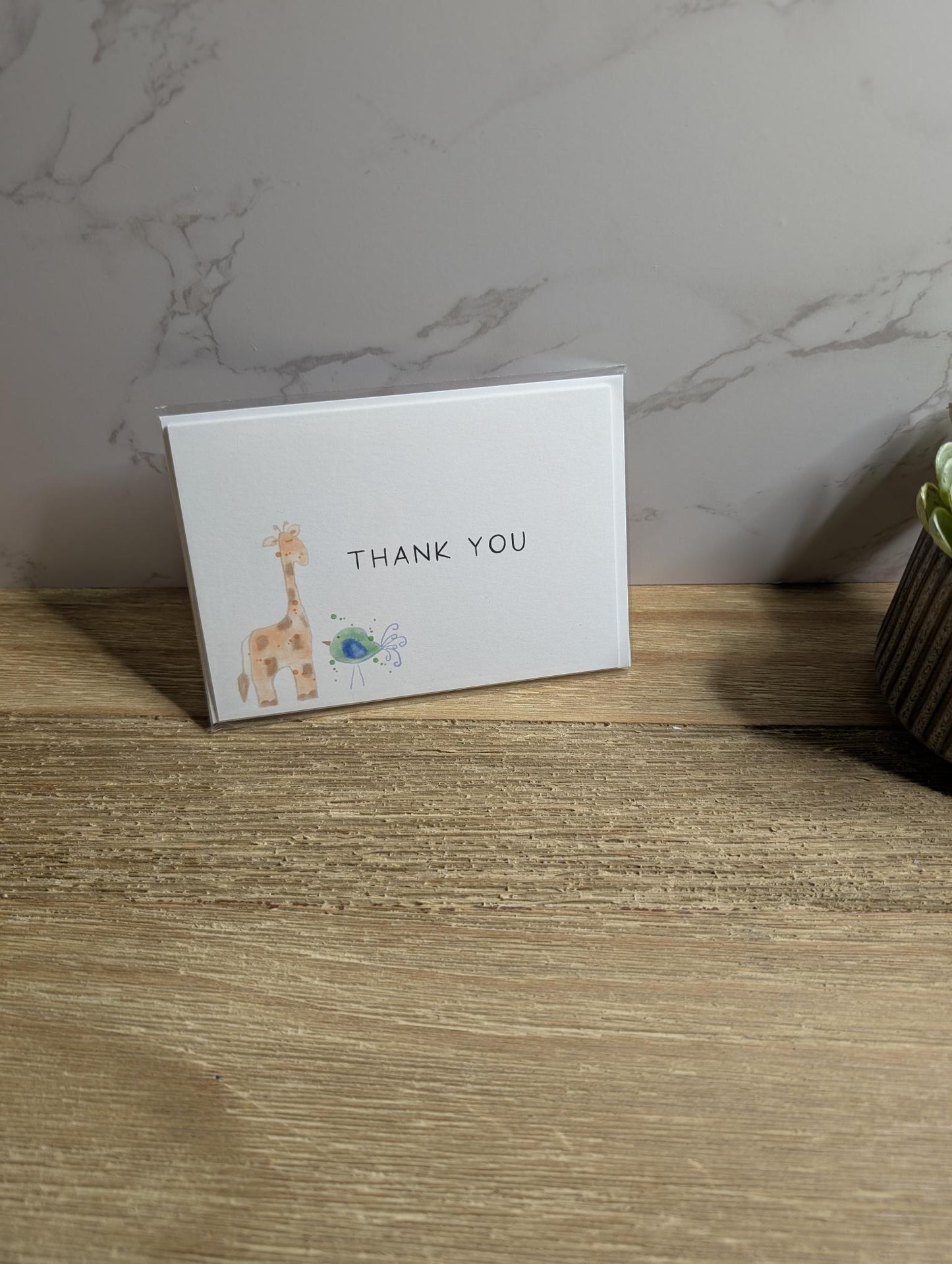 Clearance Collection | Discontinued