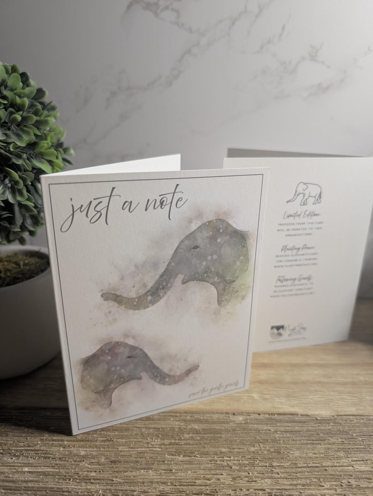 Animal Rescue Cards | Limited Edition