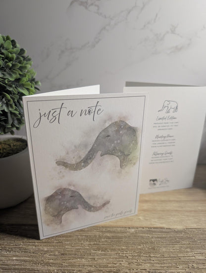 Animal Rescue Cards | Limited Edition