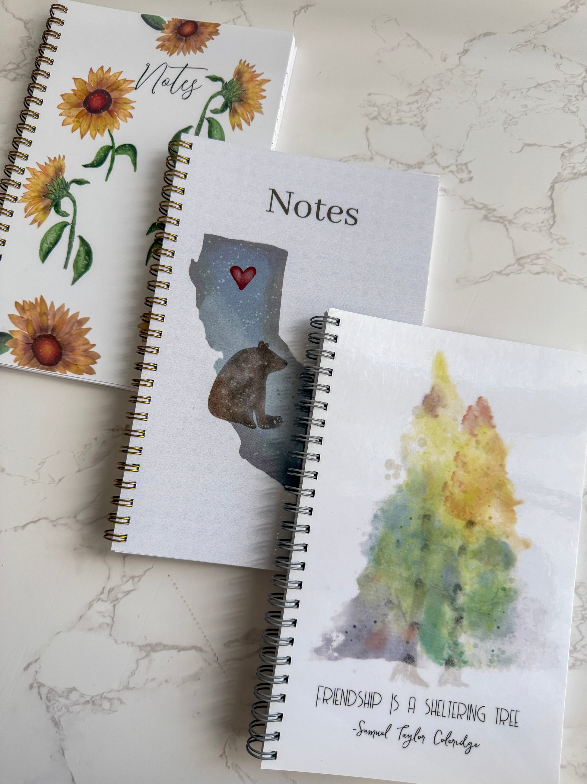 Notebooks | Wire Bound | College Ruled
