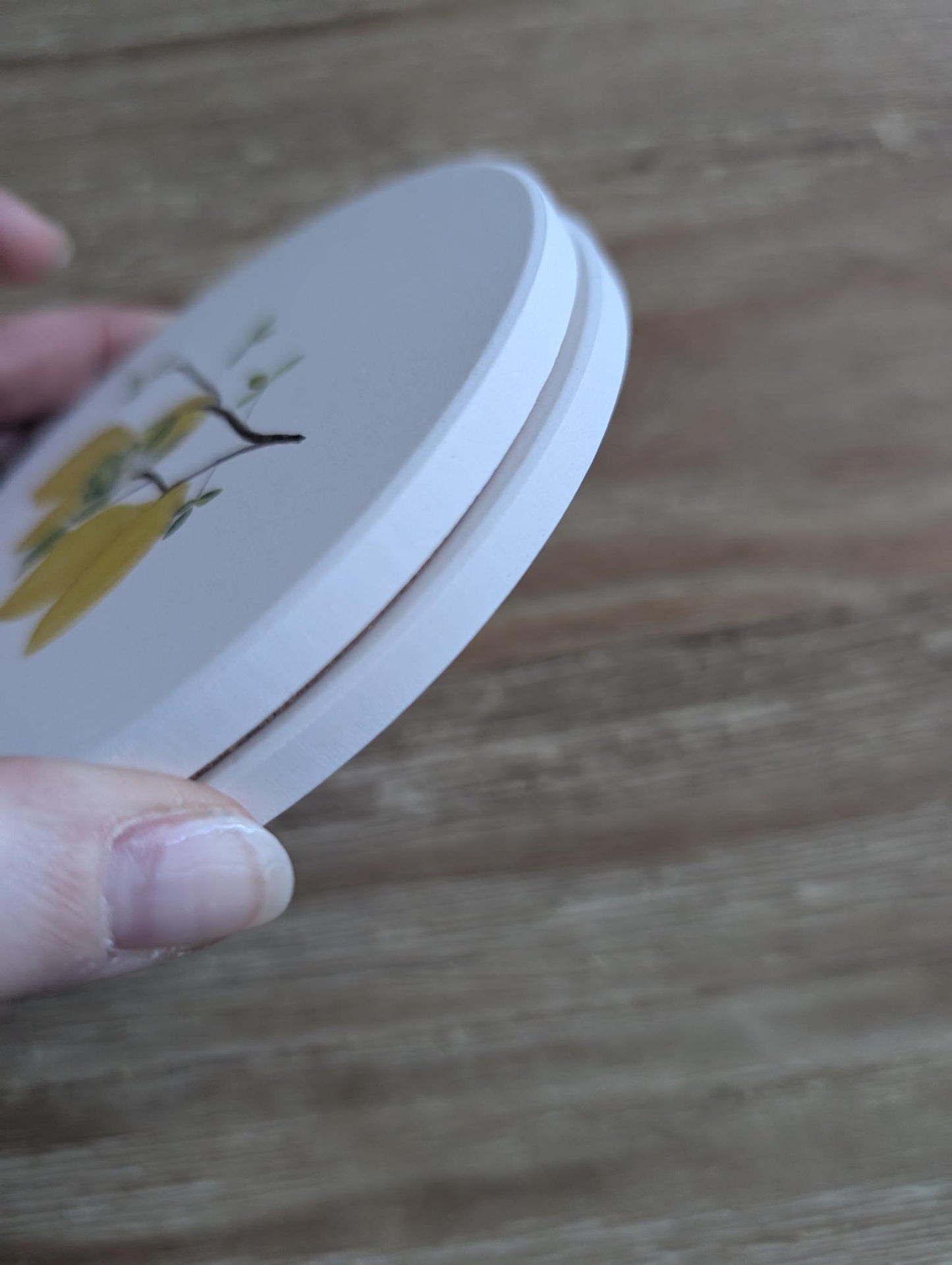 Coaster | Ceramic | Round | 2ct. | Watercolor