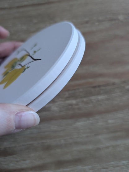 Coaster | Ceramic | Round | 2ct. | Watercolor