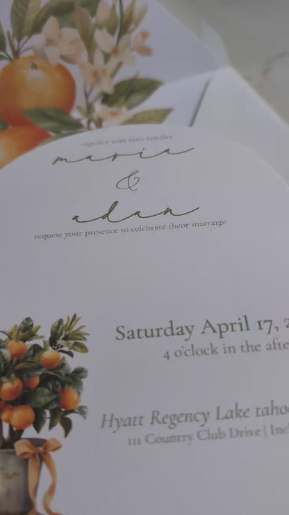 Orange Citrus Wedding Invitation Suite |  7 pc. suite | Semi-Custom