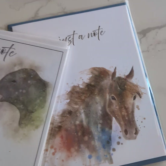 Animal Rescue Cards | Limited Edition