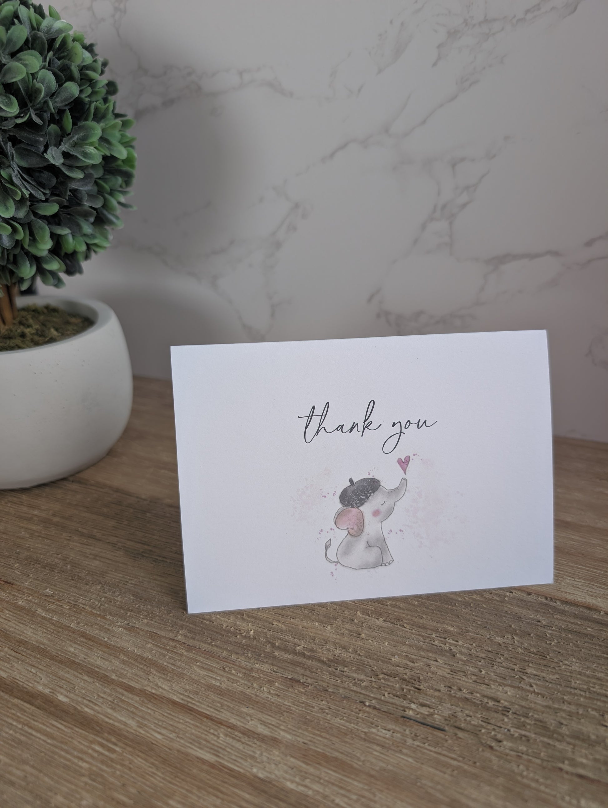 Clearance Collection | Discontinued