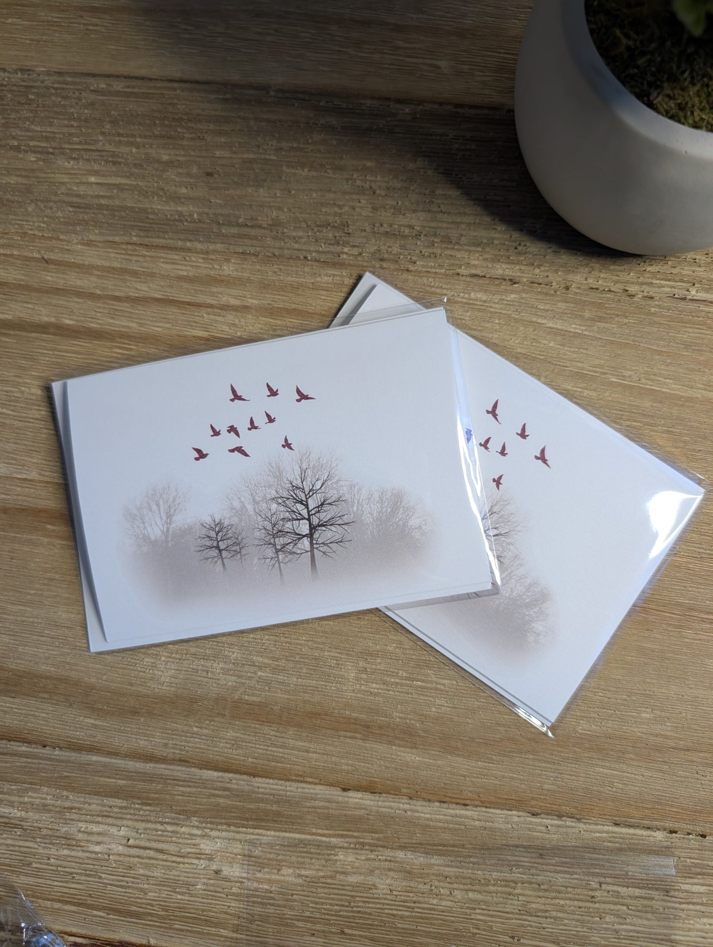 Clearance Collection | Discontinued