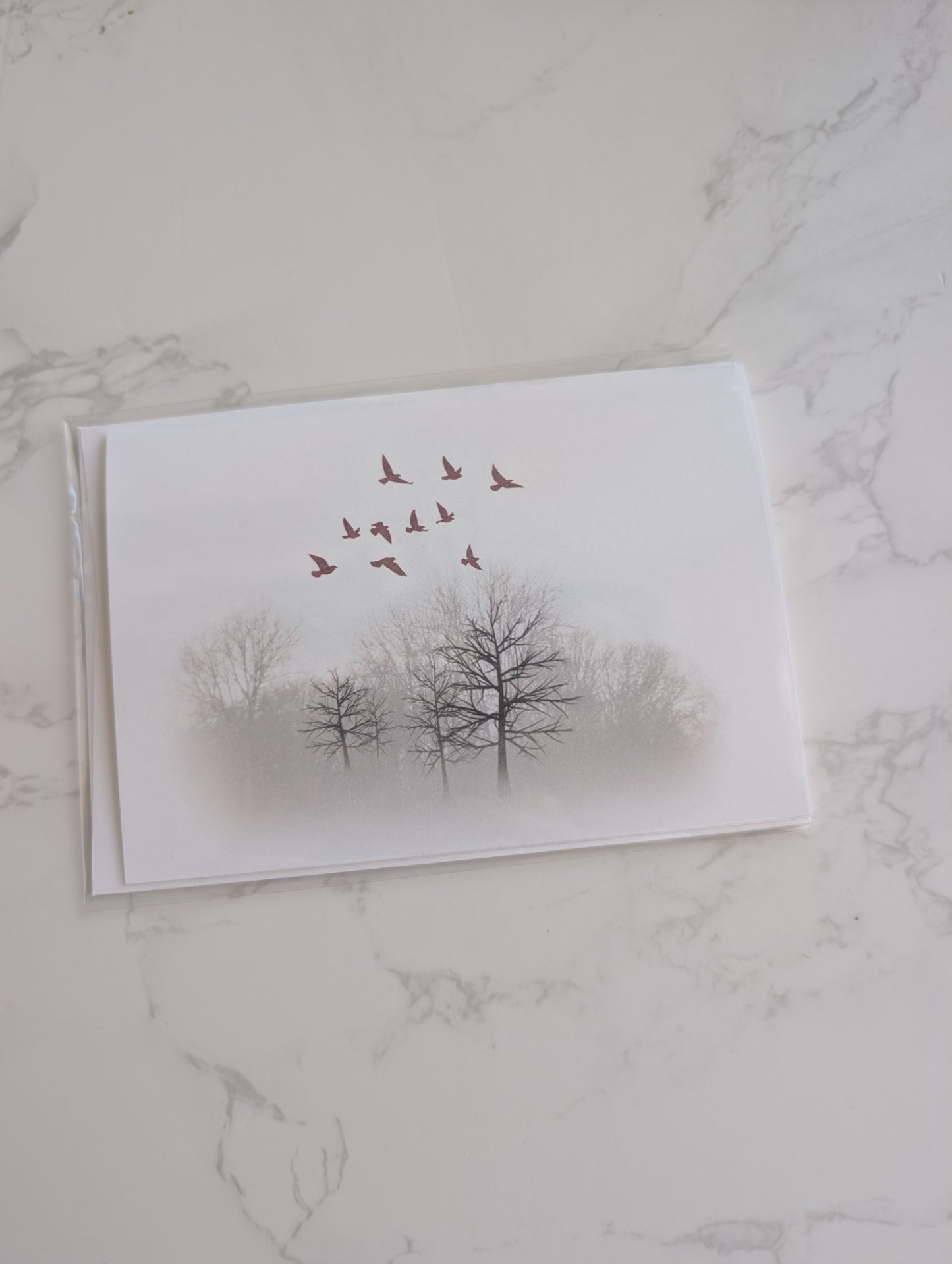 Card Clearance | Discontinued