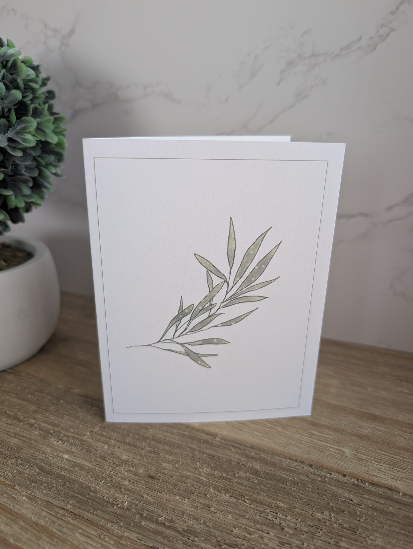 Clearance Collection | Discontinued