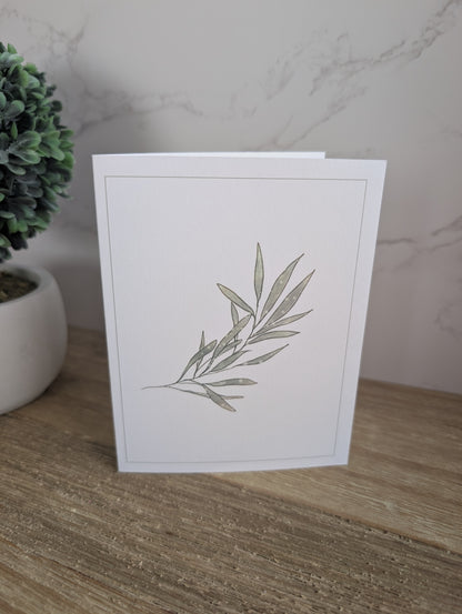 Clearance Collection | Discontinued