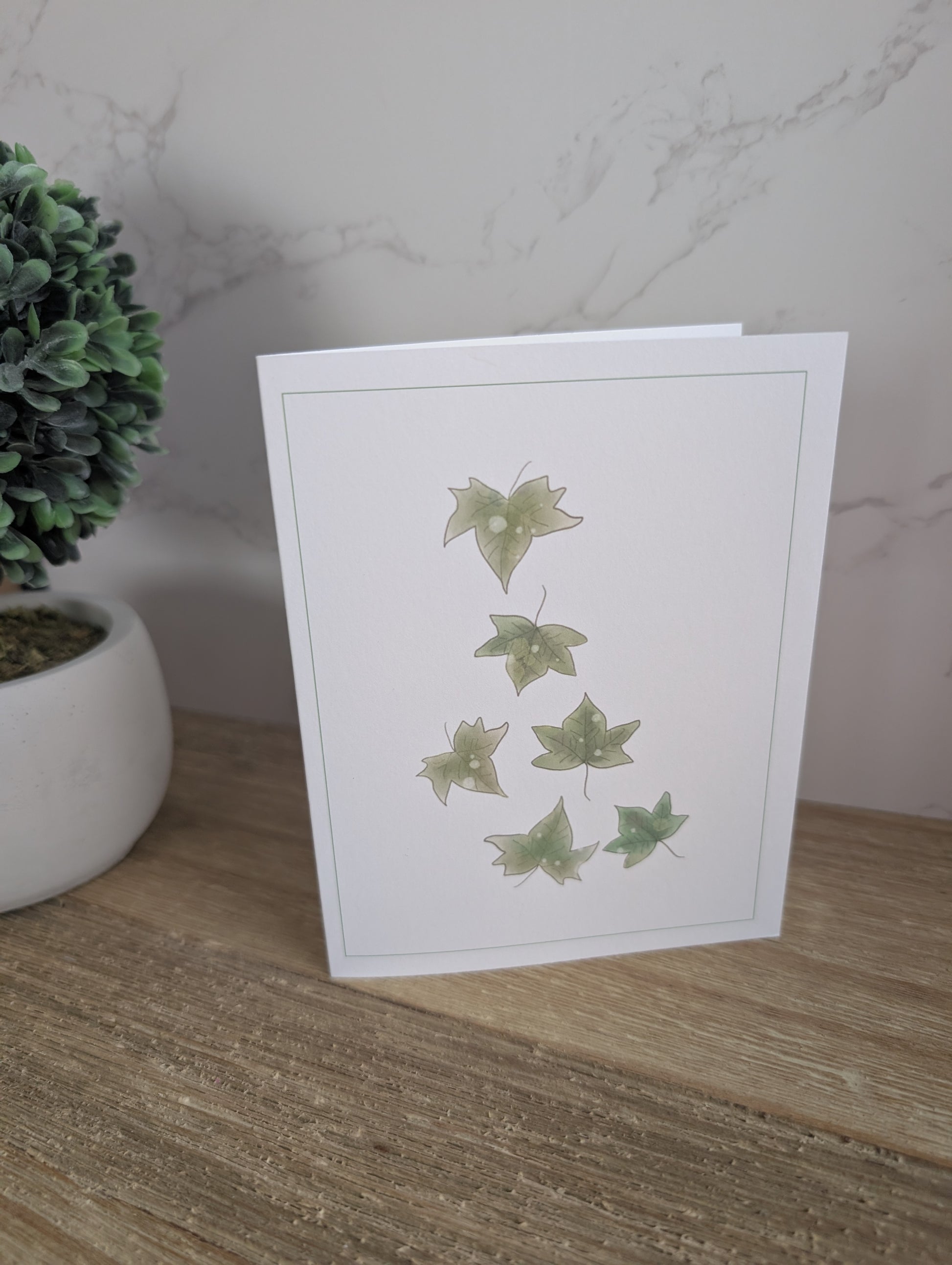 Clearance Collection | Discontinued