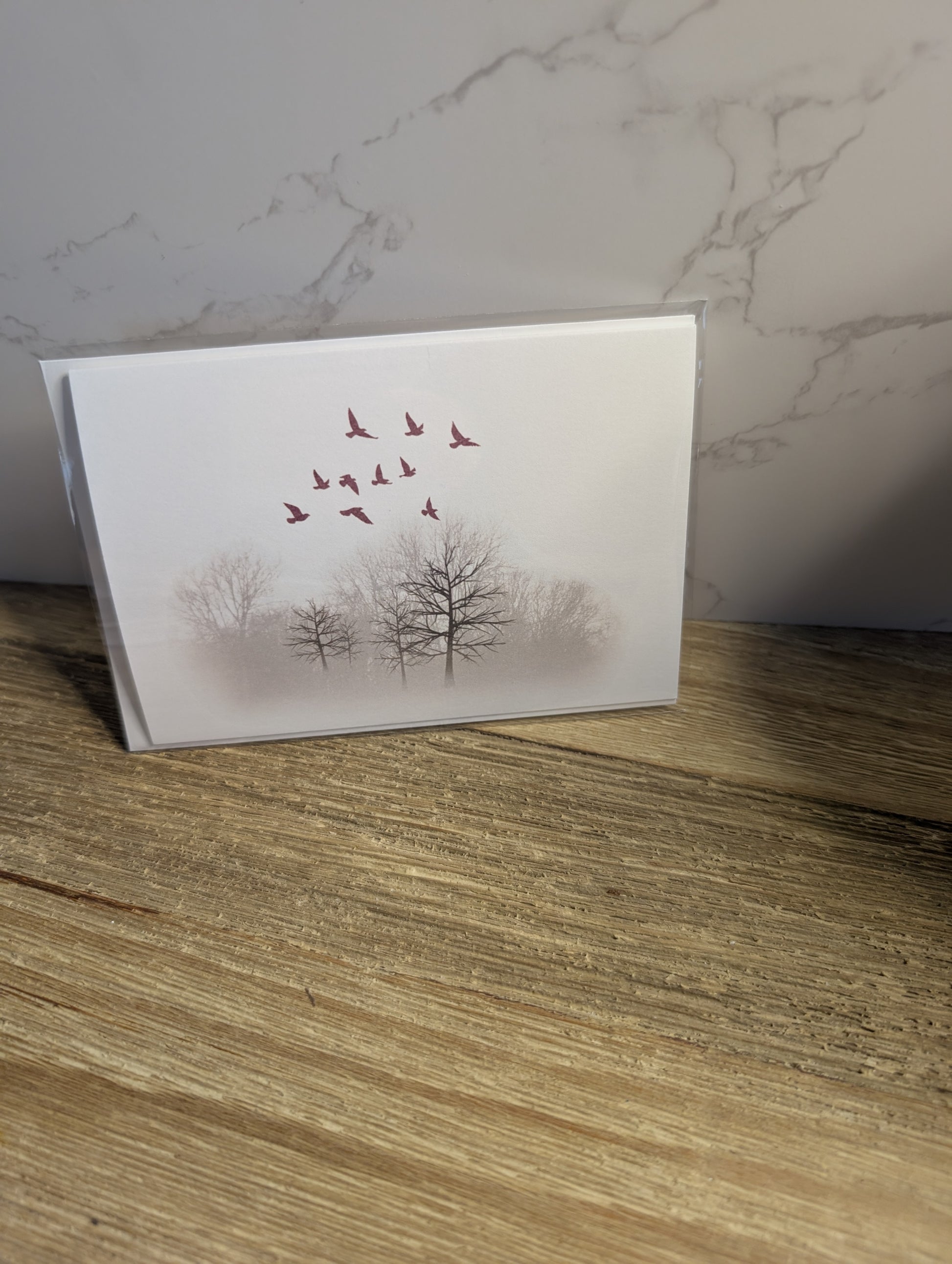 Clearance Collection | Discontinued