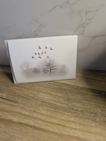 Clearance Collection | Discontinued