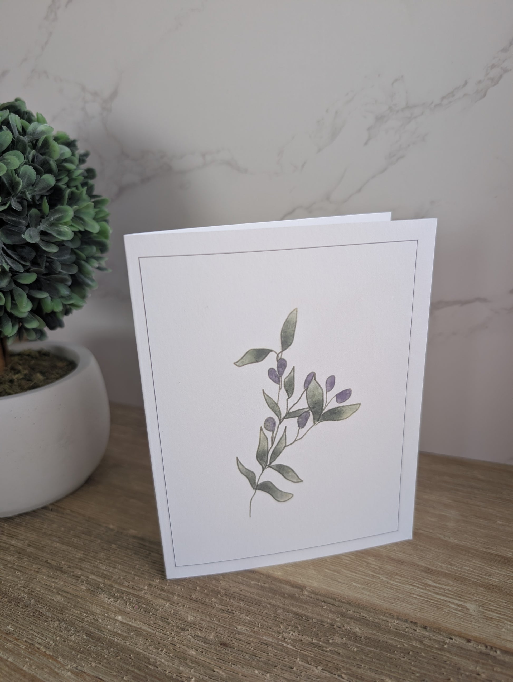 Clearance Collection | Discontinued