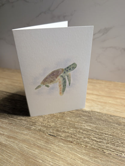 Everyday Card Collection