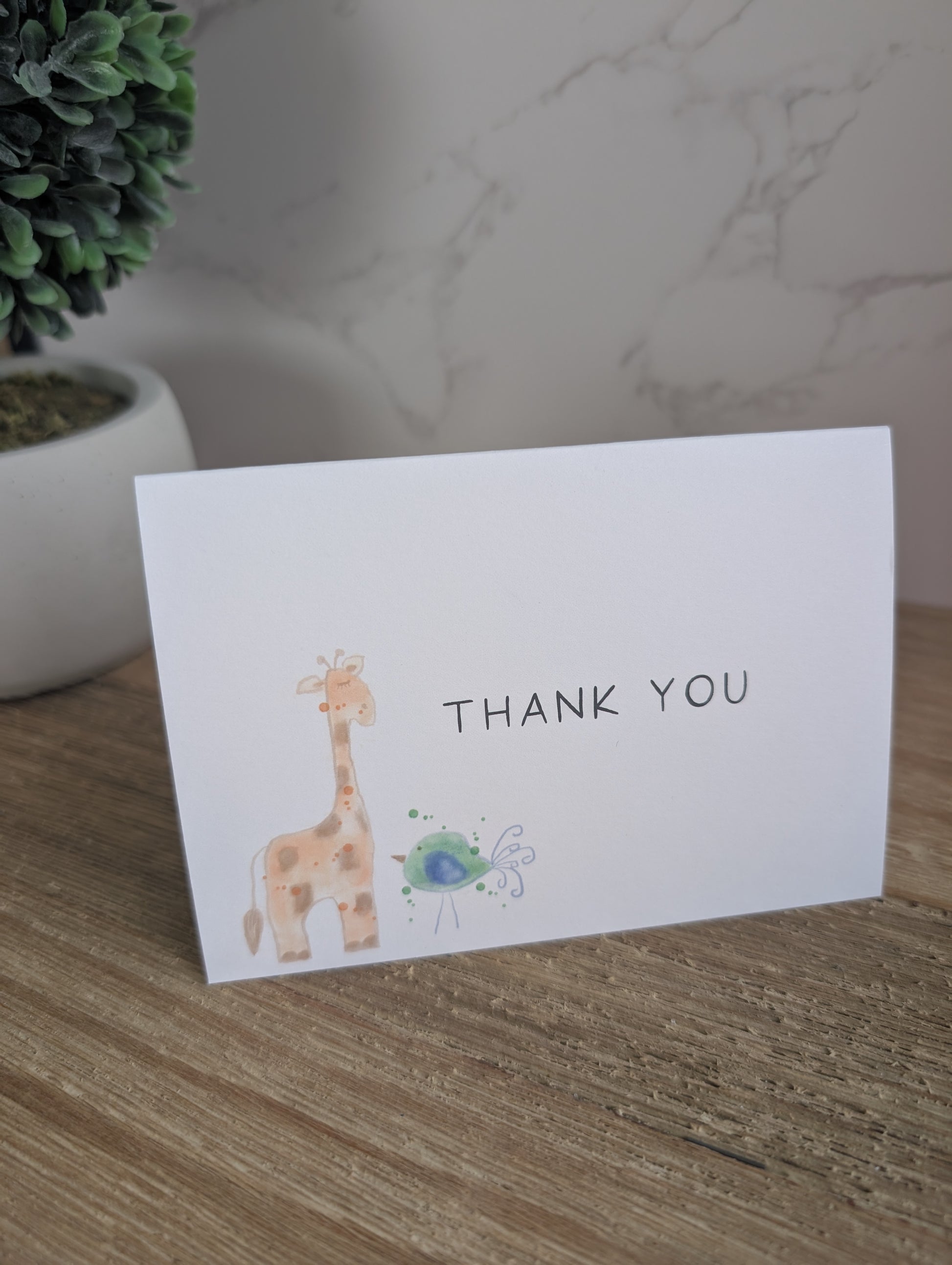 Clearance Collection | Discontinued