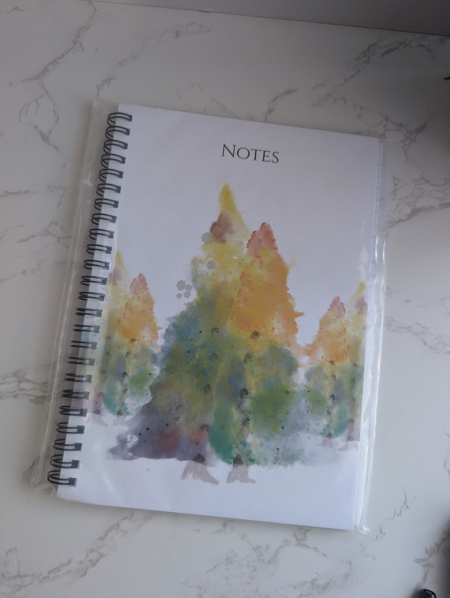 Notebooks | Wire Bound | College Ruled