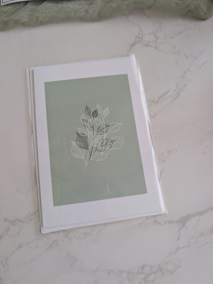 Card Clearance | Discontinued